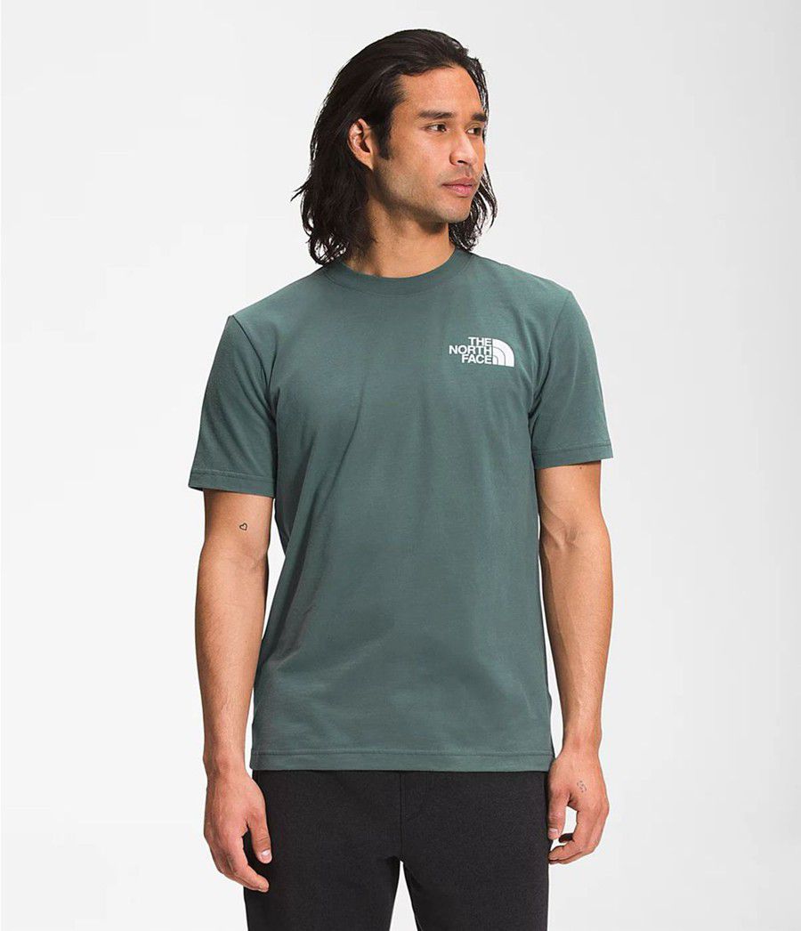 Pánské T-Shirts The North Face Short Sleeve Box Nse Zelene | FWNDUVO-59