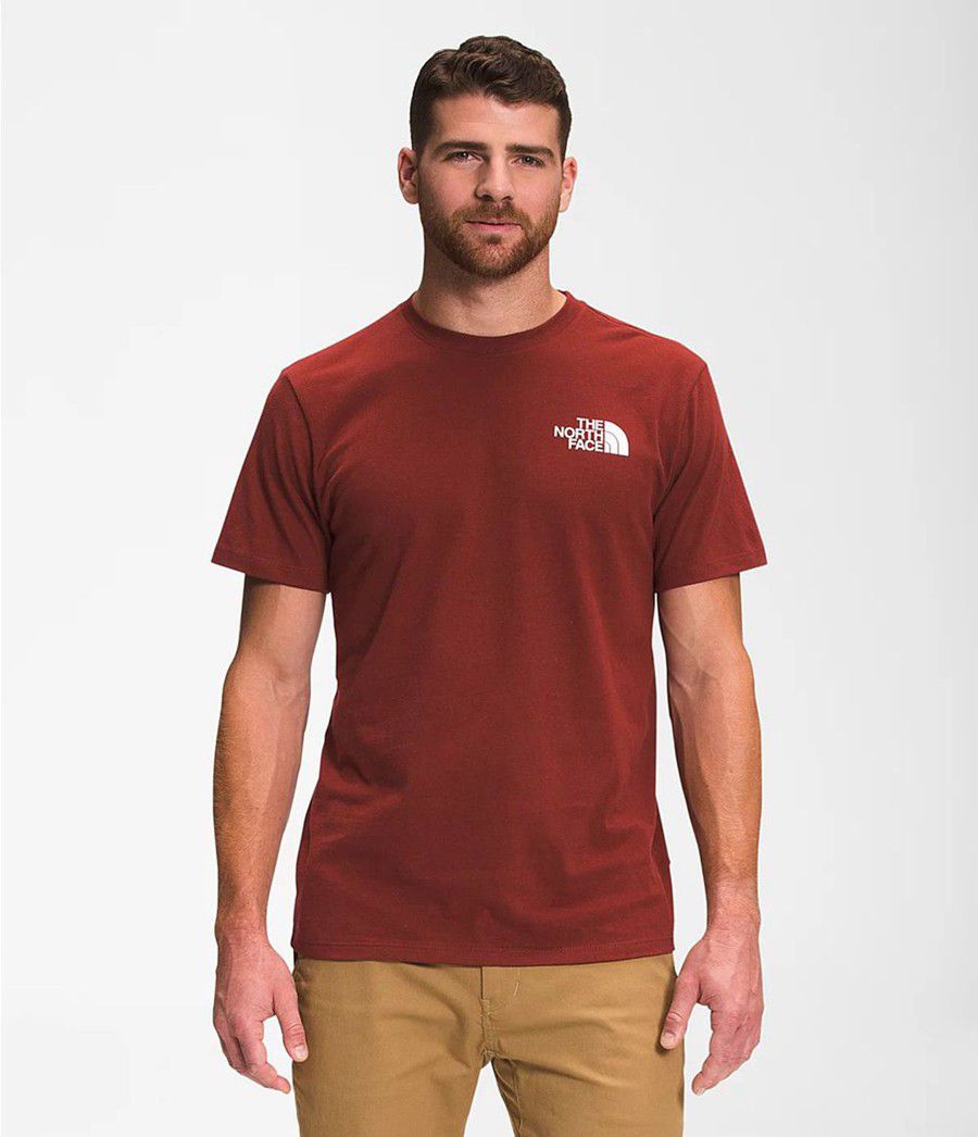 Pánské T-Shirts The North Face Short Sleeve Box Nse Červené | PRVDKOQ-09