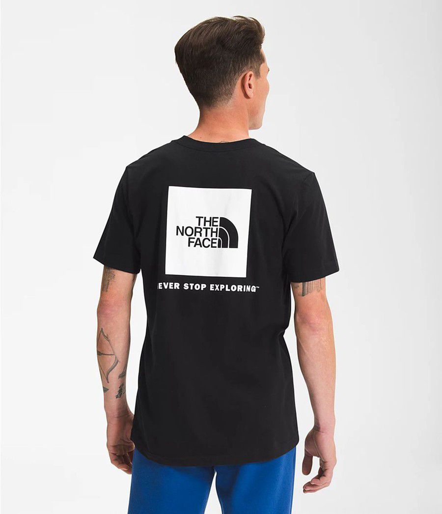 Pánské T-Shirts The North Face Short Sleeve Box Nse Černé | CBDSIKT-10