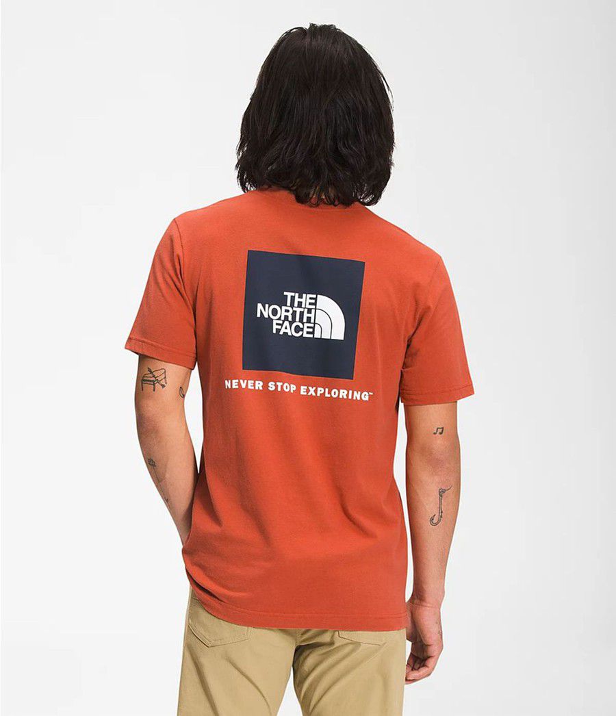 Pánské T-Shirts The North Face Short Sleeve Box Nse Oranžové | SCEYJDO-85