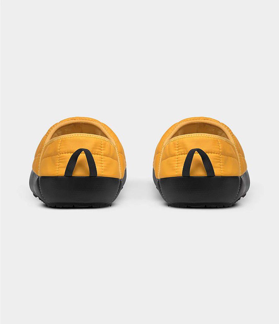 Pánské Tenisky The North Face Thermoball Traction Mule V Zlaté | DEAKSFJ-76