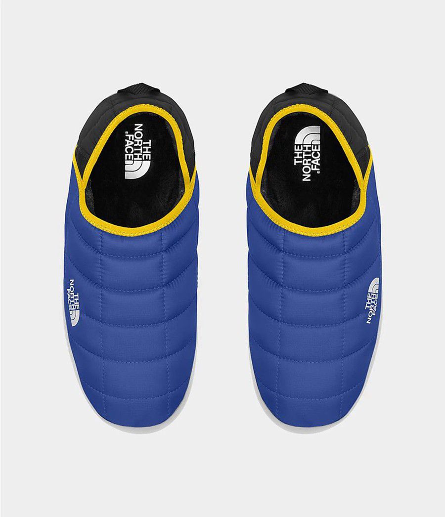 Pánské Tenisky The North Face Thermoball Traction Mule V Blankyt | LPAYFCS-82