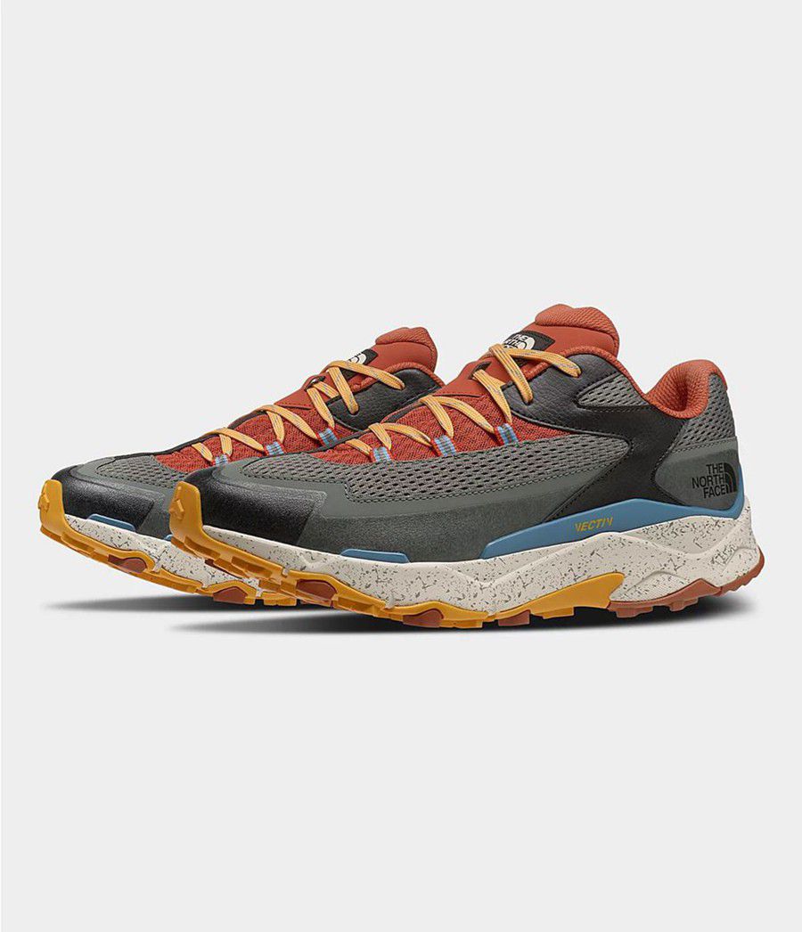 Pánské Turistické Boty The North Face Vectiv Taraval Viacfarebný | ZXDRTCK-39
