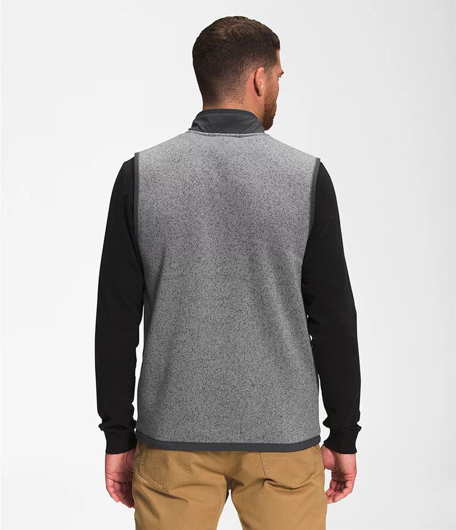 Pánské Vests The North Face Gordon Lyons Full Zip Šedé | SFWUMTN-47