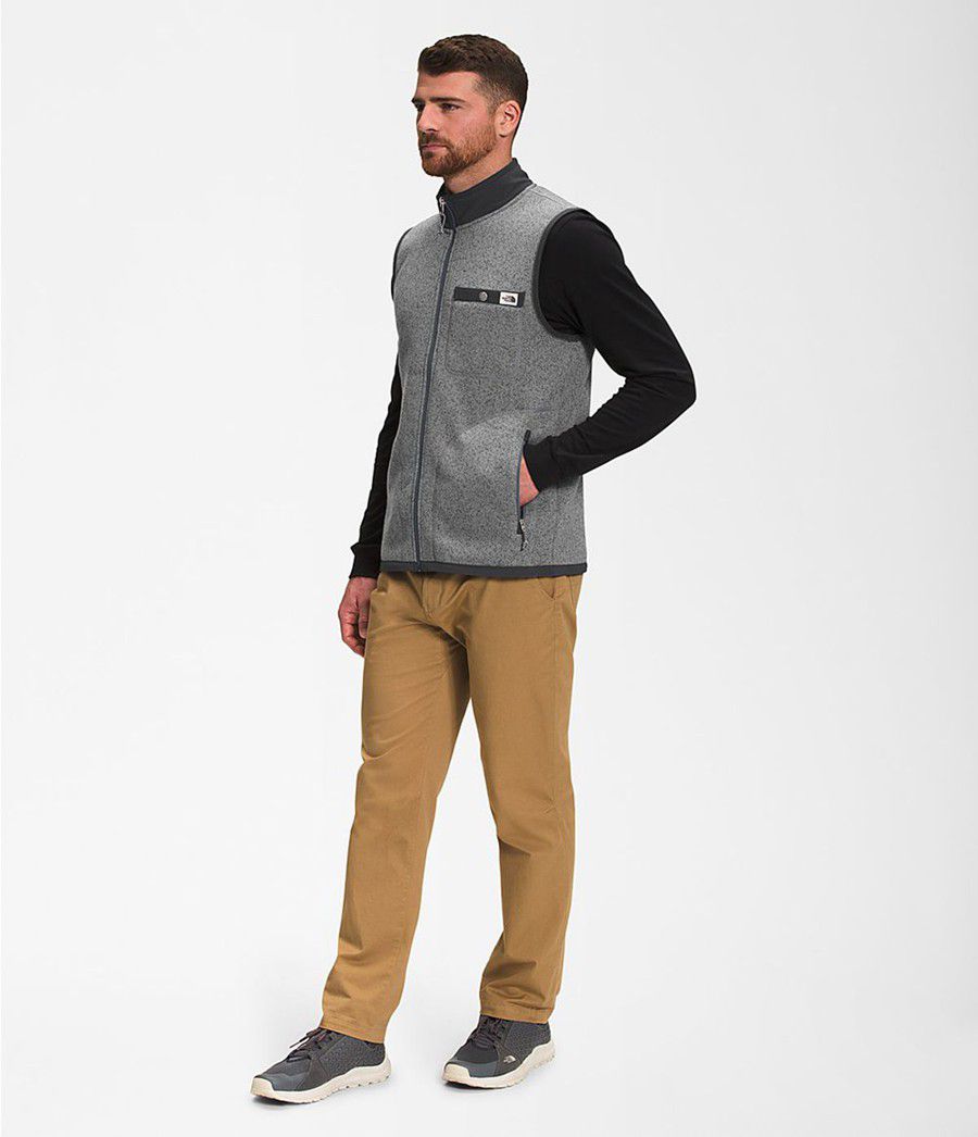 Pánské Vests The North Face Gordon Lyons Full Zip Šedé | SFWUMTN-47