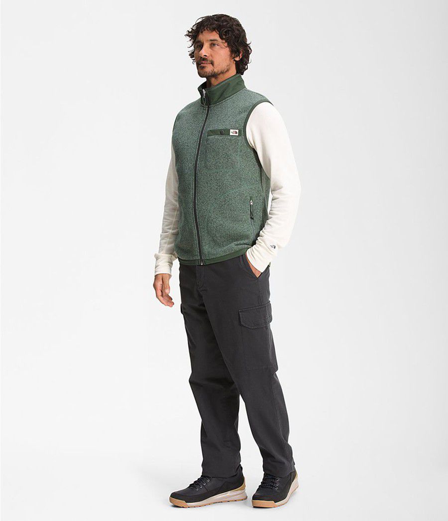 Pánské Vests The North Face Gordon Lyons Full Zip Zelene | LRIWEPO-37
