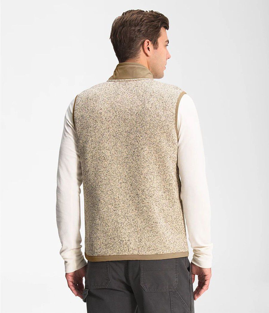 Pánské Vests The North Face Gordon Lyons Full Zip Hnědé | RXVAMEF-04