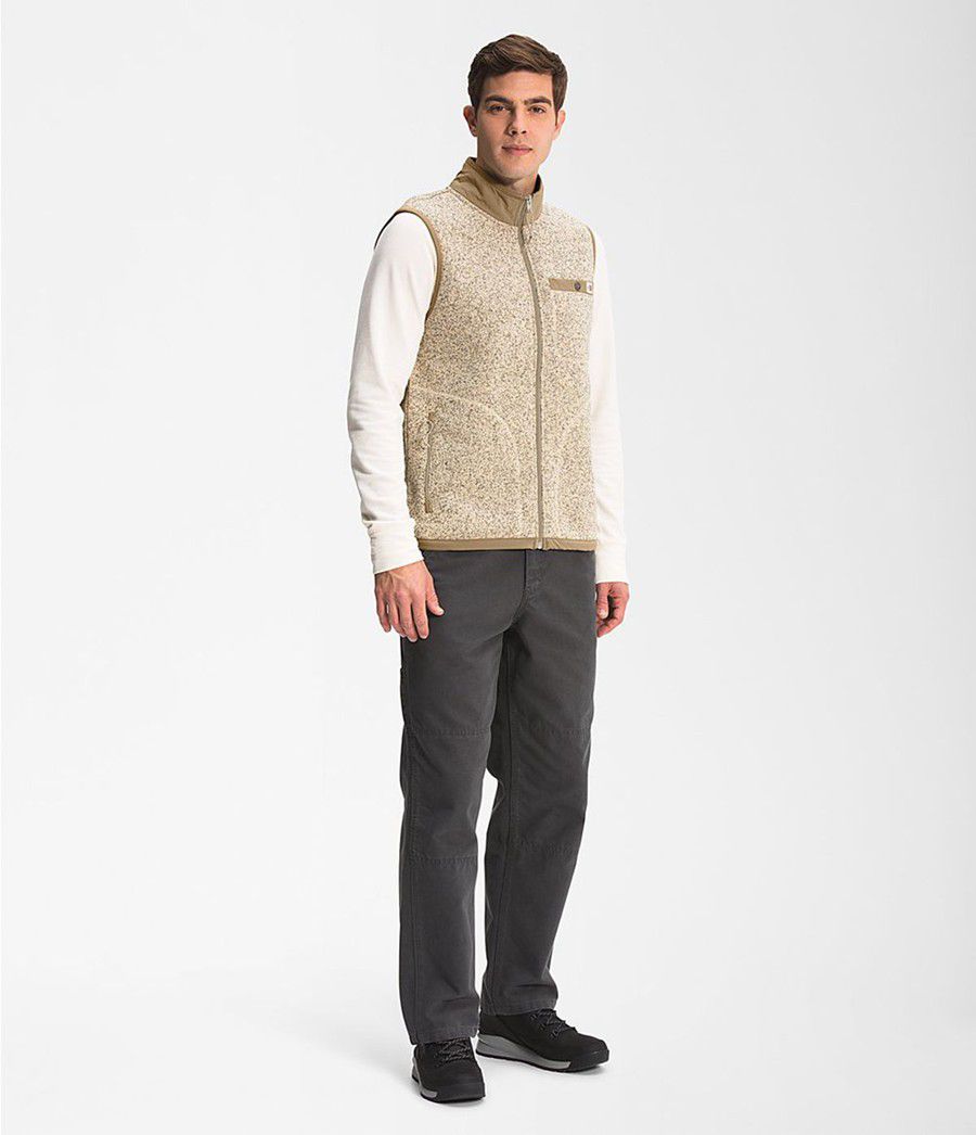 Pánské Vests The North Face Gordon Lyons Full Zip Hnědé | RXVAMEF-04