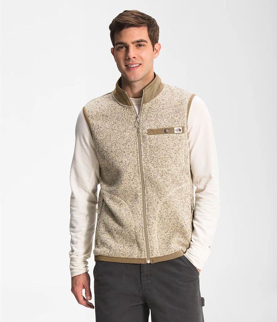 Pánské Vests The North Face Gordon Lyons Full Zip Hnědé | RXVAMEF-04
