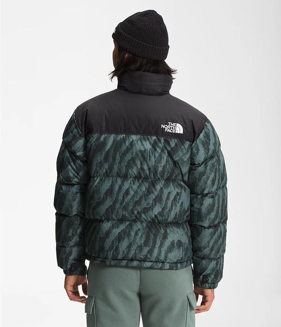 Pánské Zateplené Bundy The North Face Printed 1996 Retro Nuptse Zelene | ABKTSUJ-04