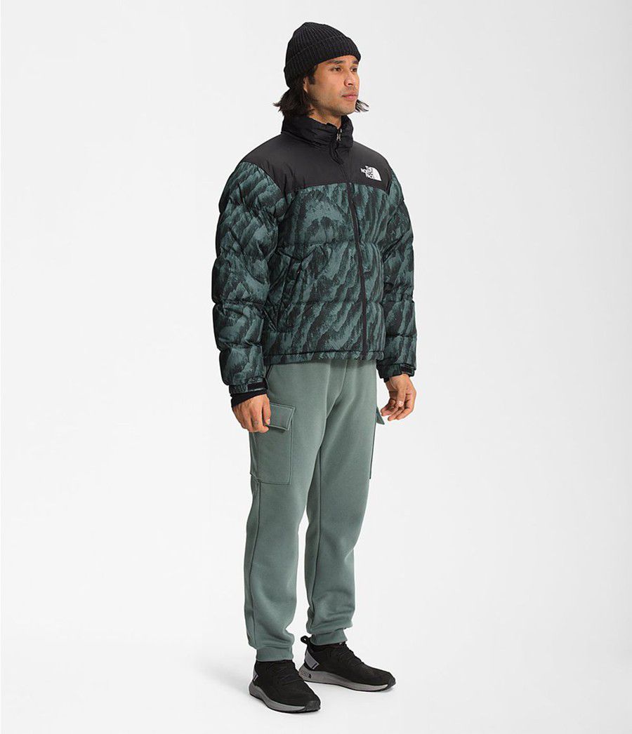 Pánské Zateplené Bundy The North Face Printed 1996 Retro Nuptse Zelene | ABKTSUJ-04