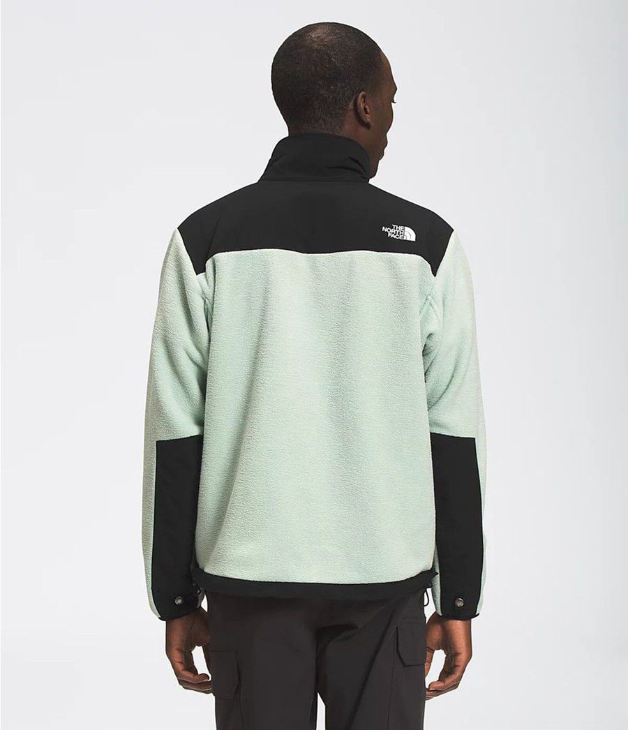 Pánské Zimní Bundy The North Face 95 Retro Denali Zelene | ROJKPSC-98