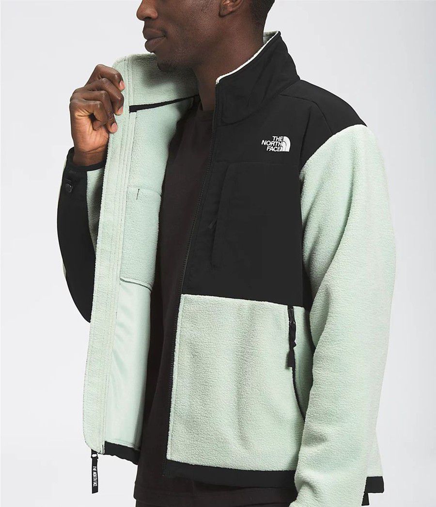 Pánské Zimní Bundy The North Face 95 Retro Denali Zelene | ROJKPSC-98