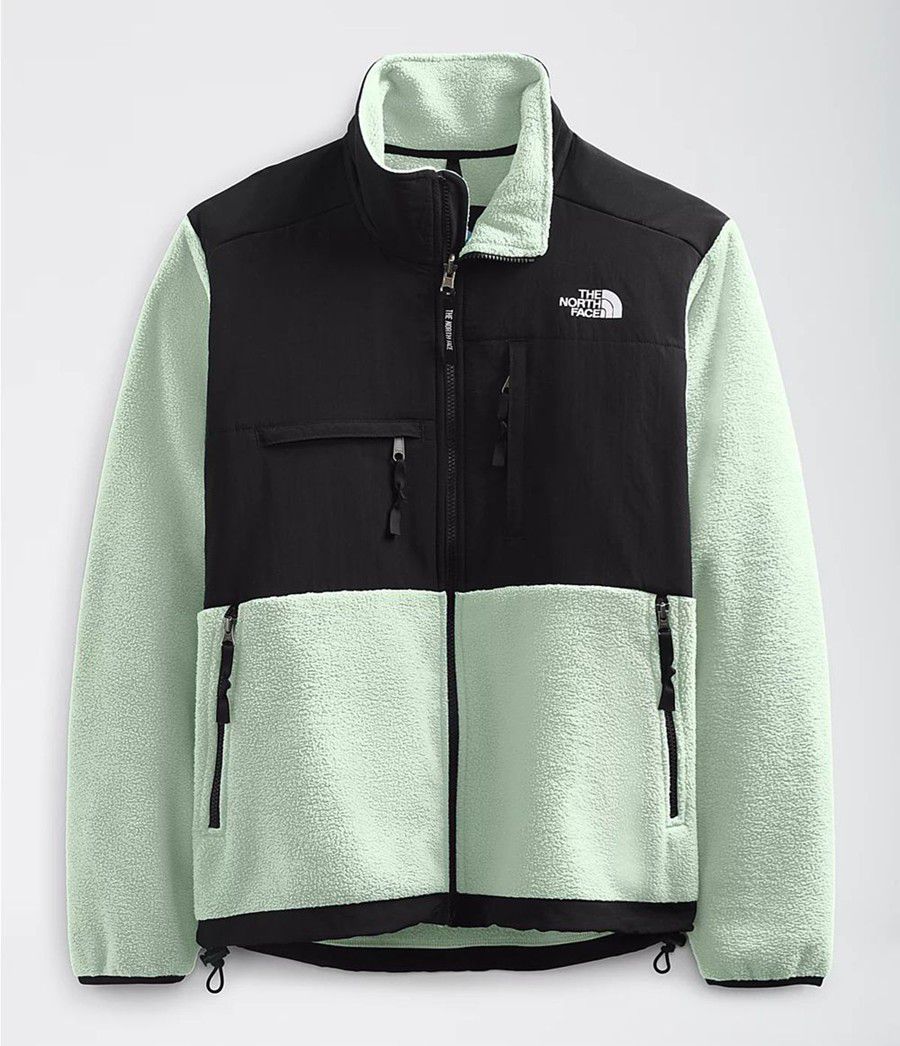 Pánské Zimní Bundy The North Face 95 Retro Denali Zelene | ROJKPSC-98