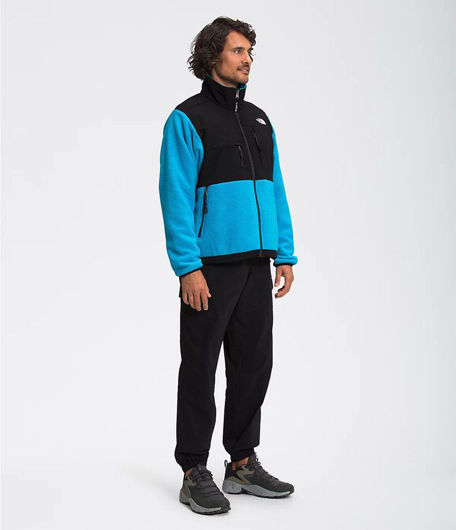 Pánské Zimní Bundy The North Face 95 Retro Denali Blankyt | YRGESTP-83