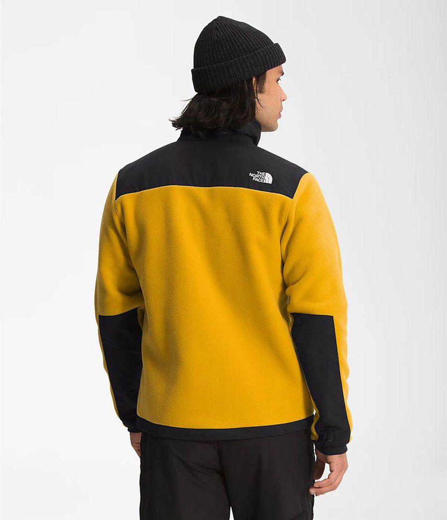 Pánské Zimní Bundy The North Face Denali 2 Žluté | RBEADIQ-15