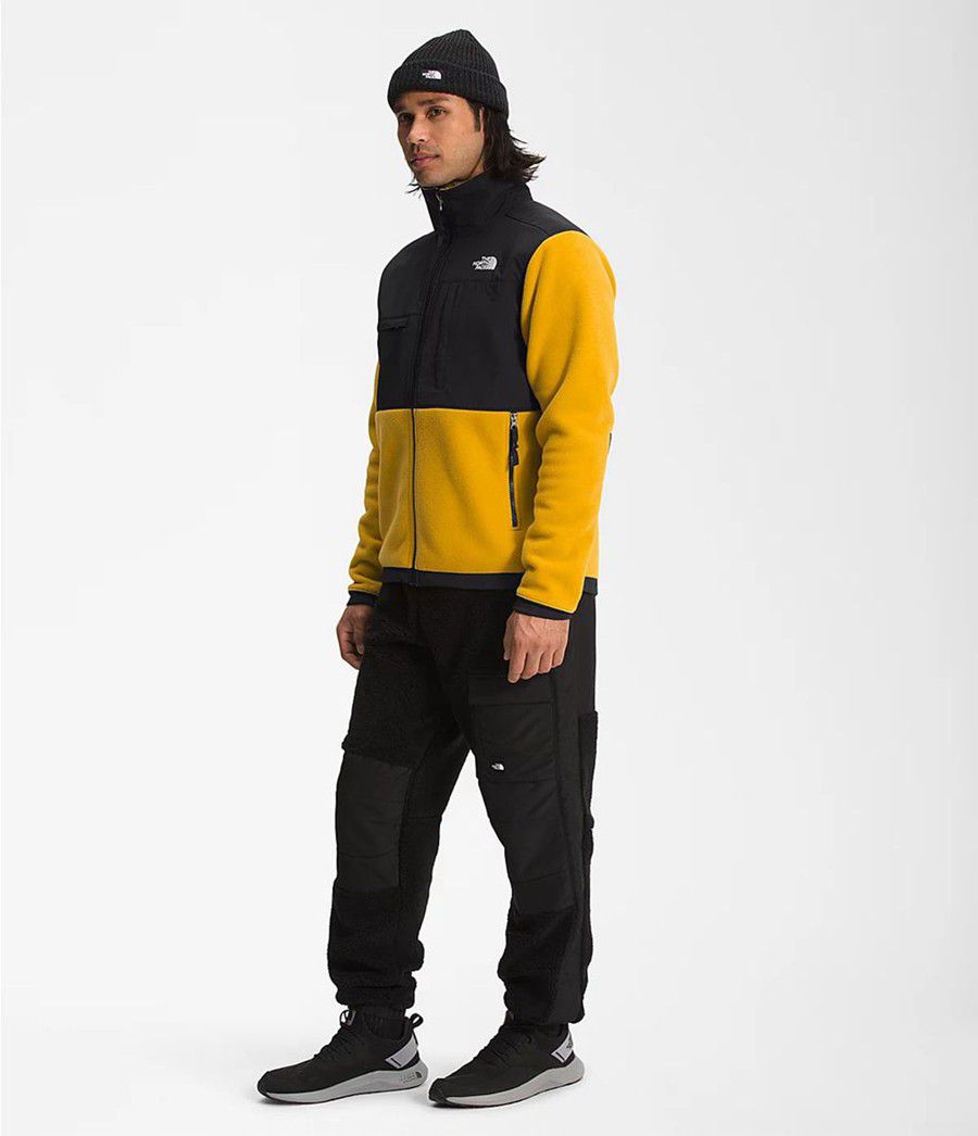 Pánské Zimní Bundy The North Face Denali 2 Žluté | RBEADIQ-15