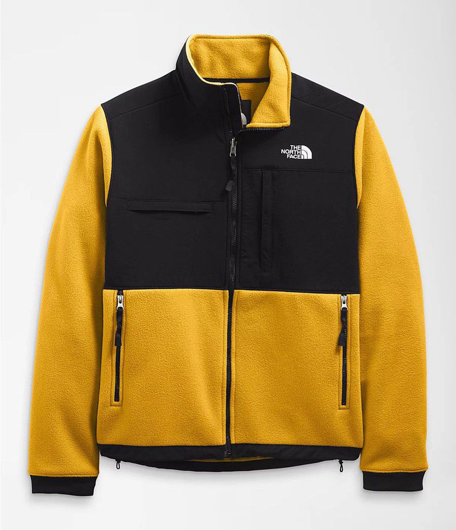 Pánské Zimní Bundy The North Face Denali 2 Žluté | RBEADIQ-15