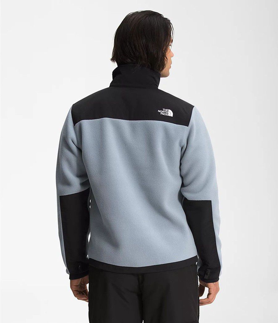 Pánské Zimní Bundy The North Face Denali 2 Šedé | XEWBIFO-90