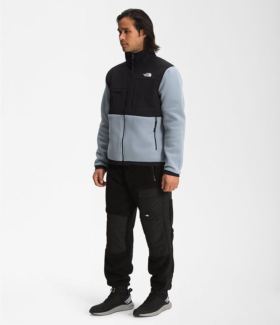 Pánské Zimní Bundy The North Face Denali 2 Šedé | XEWBIFO-90