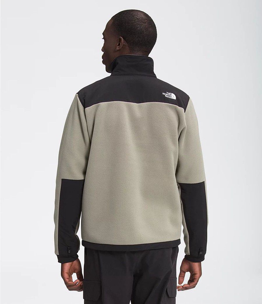 Pánské Zimní Bundy The North Face Denali 2 Šedé | UZVLIYS-98