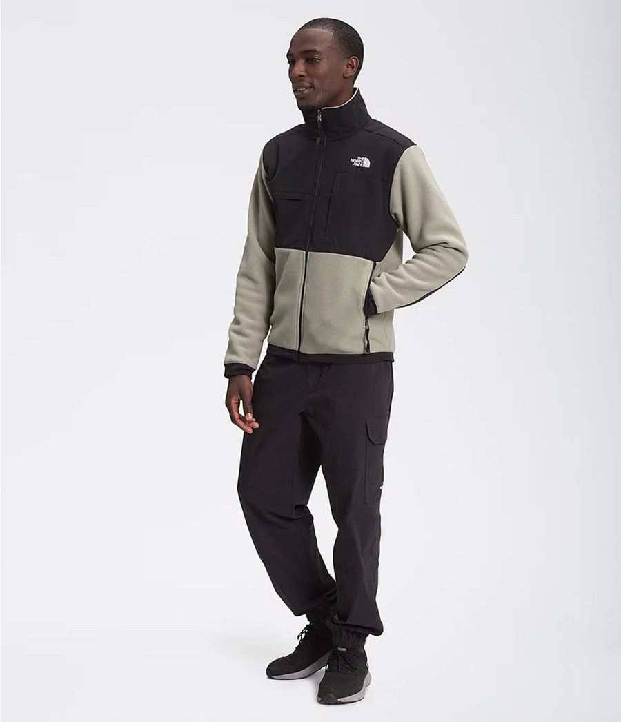 Pánské Zimní Bundy The North Face Denali 2 Šedé | UZVLIYS-98