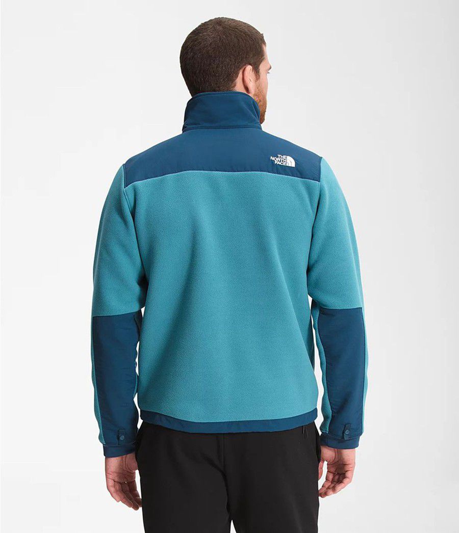 Pánské Zimní Bundy The North Face Denali 2 Blankyt | RBLUSOC-28