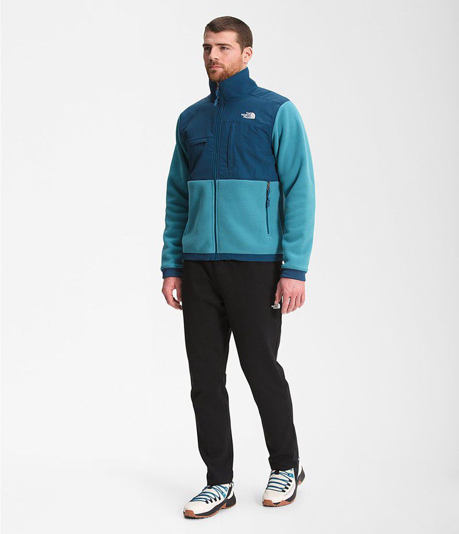 Pánské Zimní Bundy The North Face Denali 2 Blankyt | RBLUSOC-28