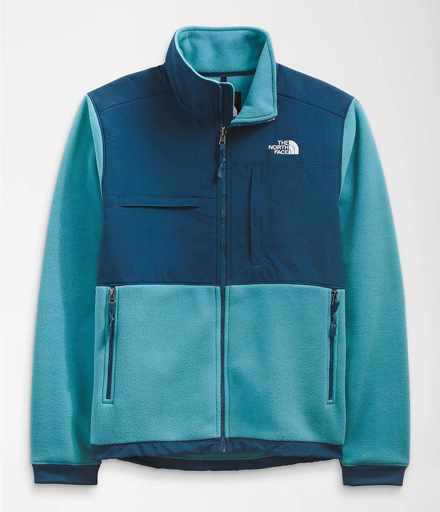 Pánské Zimní Bundy The North Face Denali 2 Blankyt | RBLUSOC-28