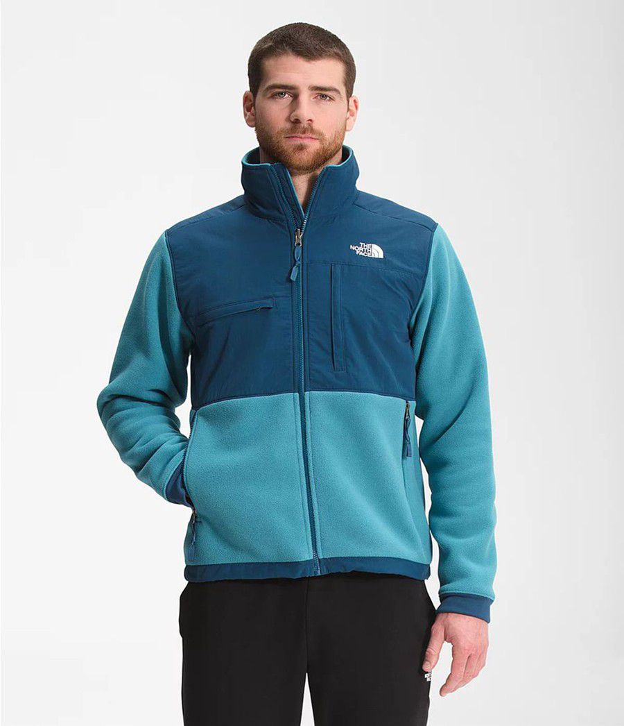 Pánské Zimní Bundy The North Face Denali 2 Blankyt | RBLUSOC-28