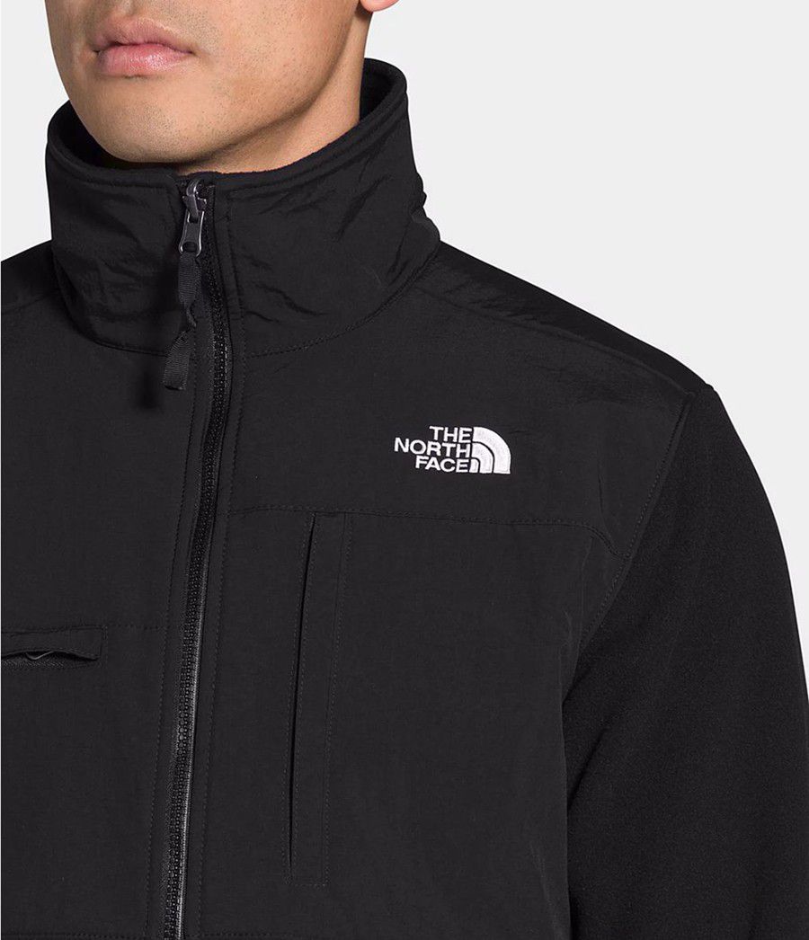 Pánské Zimní Bundy The North Face Denali 2 Černé | MXREOKQ-46