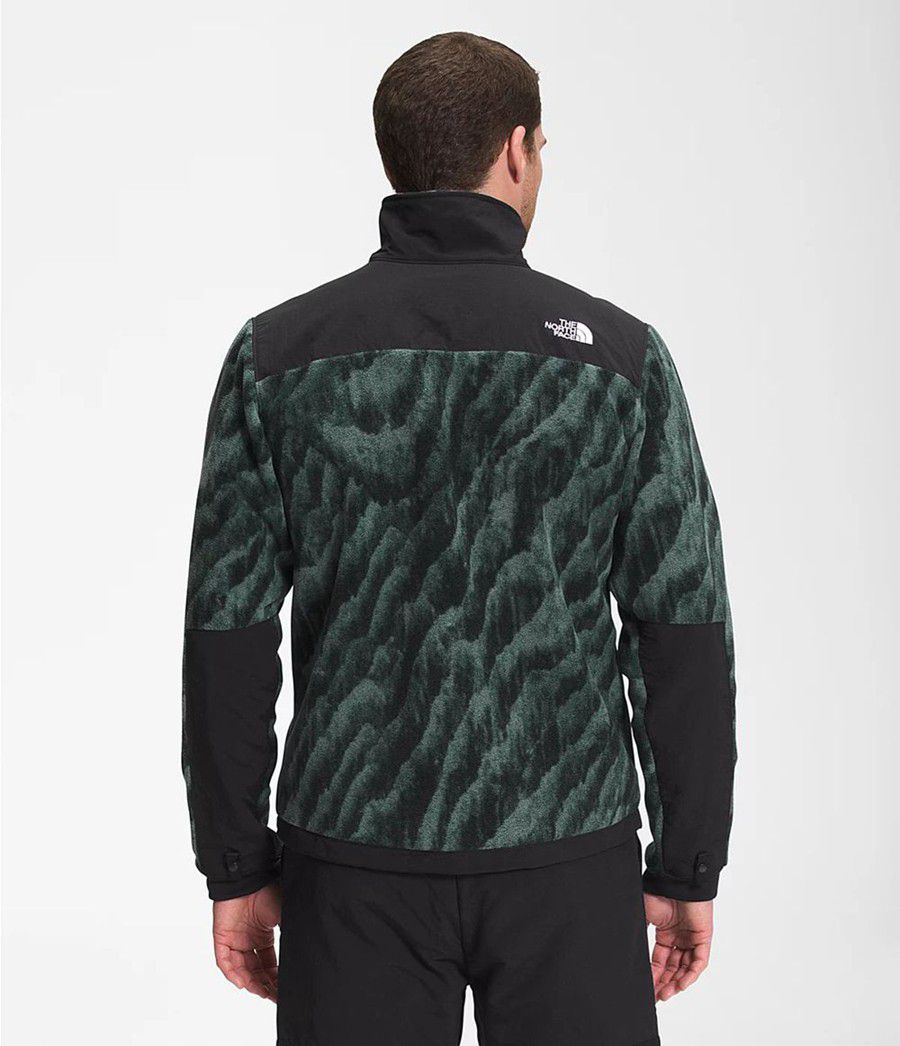 Pánské Zimní Bundy The North Face Printed Denali 2 Zelene | SZNOXPE-35