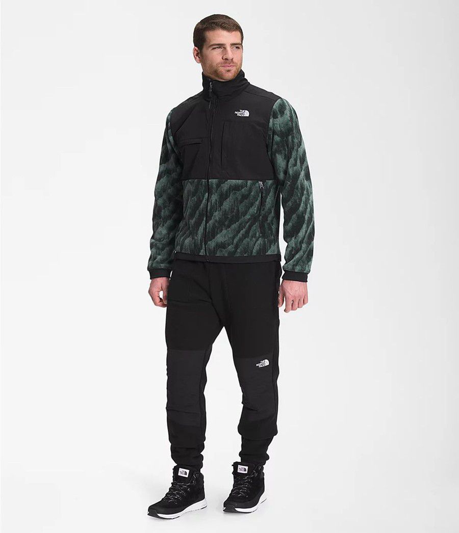 Pánské Zimní Bundy The North Face Printed Denali 2 Zelene | SZNOXPE-35
