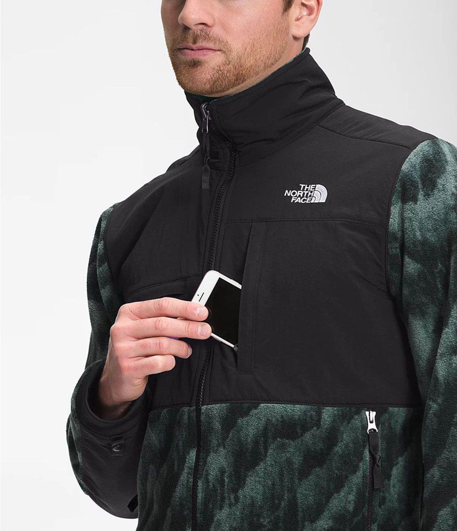 Pánské Zimní Bundy The North Face Printed Denali 2 Zelene | SZNOXPE-35