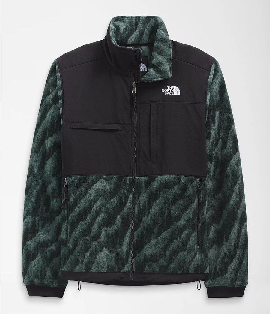 Pánské Zimní Bundy The North Face Printed Denali 2 Zelene | SZNOXPE-35