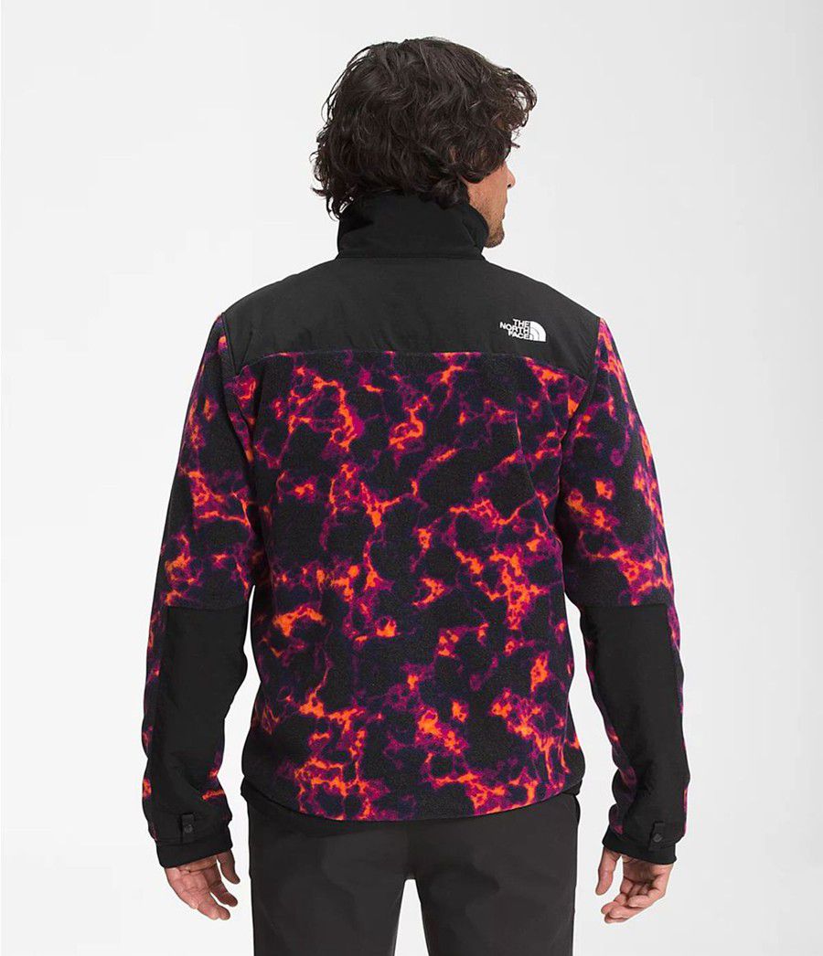 Pánské Zimní Bundy The North Face Printed Denali 2 Černé | WCVKBXH-13