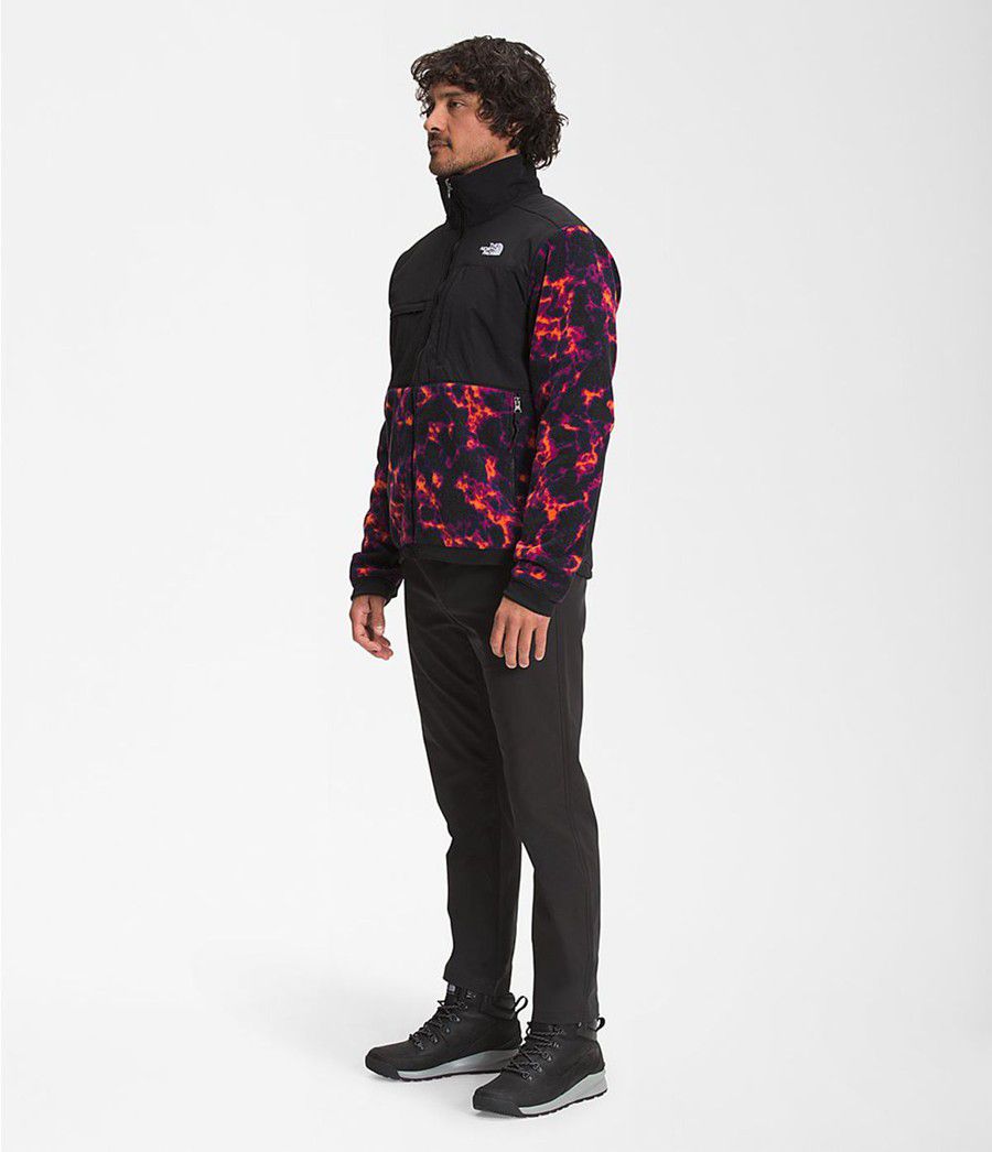 Pánské Zimní Bundy The North Face Printed Denali 2 Černé | WCVKBXH-13