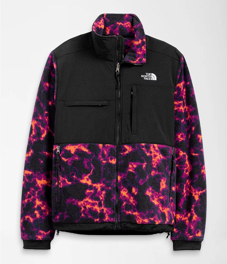 Pánské Zimní Bundy The North Face Printed Denali 2 Černé | WCVKBXH-13